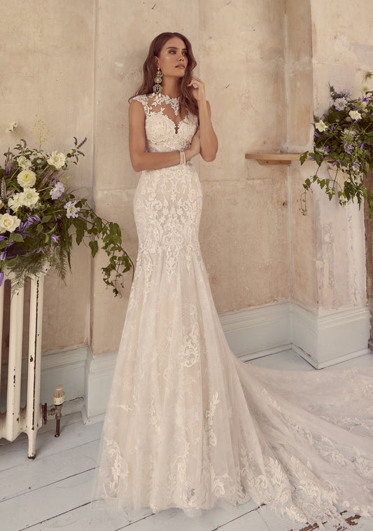 Knightsbridge 69826